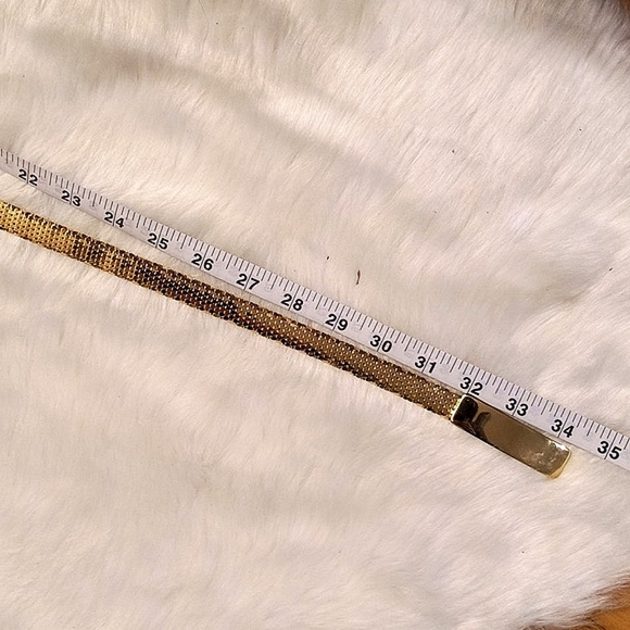 Gold Belt Accessory. Size XS/S. Adjustable. Great Condition. - Picture 10 of 11